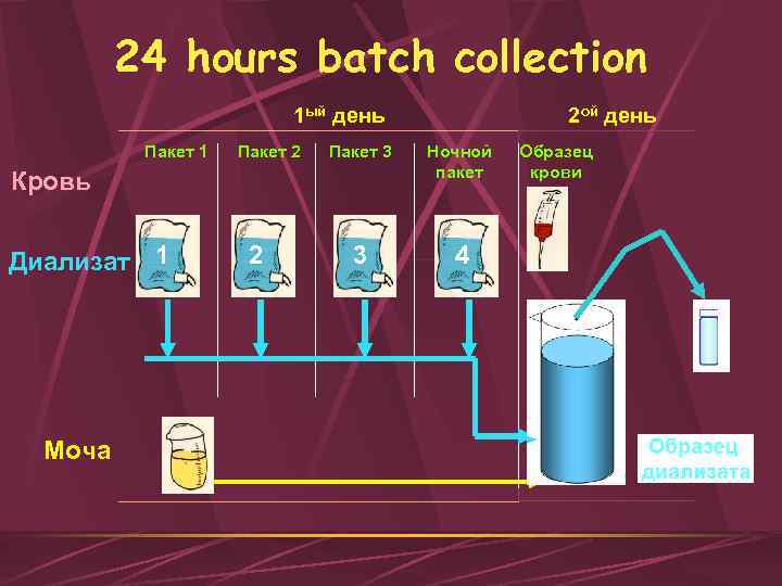 24 hours batch collection 1 ый день Пакет 1 Пакет 2 Пакет 3 Ночной