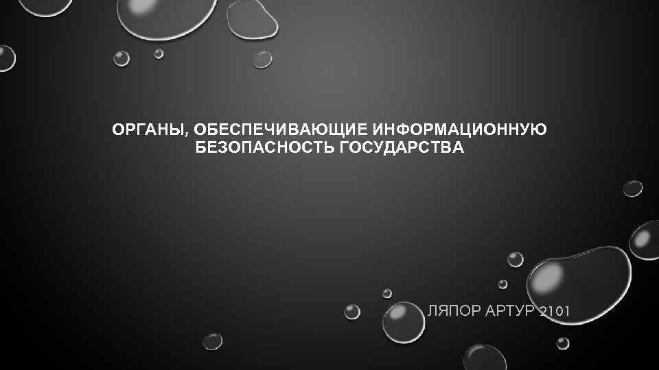 ОРГАНЫ, ОБЕСПЕЧИВАЮЩИЕ ИНФОРМАЦИОННУЮ БЕЗОПАСНОСТЬ ГОСУДАРСТВА ЛЯПОР АРТУР 2101 