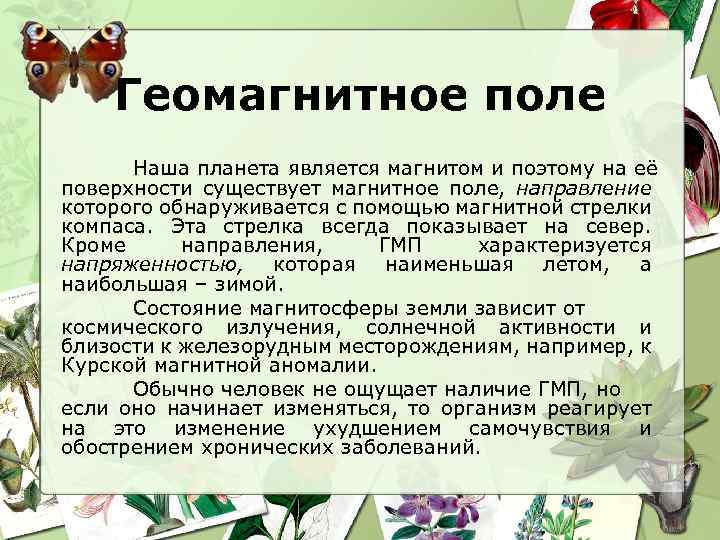 Геомагнитное поле Наша планета является магнитом и поэтому на её поверхности существует магнитное поле,