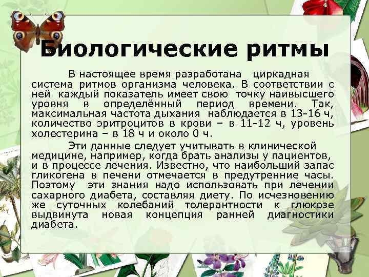 Биологические ритмы В настоящее время разработана циркадная система ритмов организма человека. В соответствии с