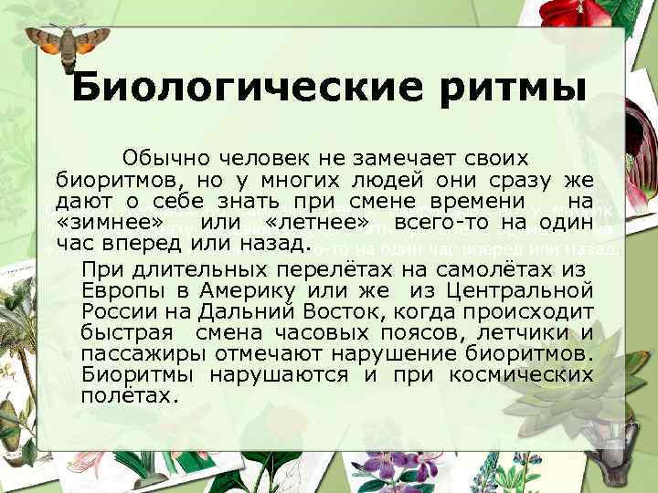 Биологические ритмы Обычно человек не замечает своих биоритмов, но у многих людей они сразу