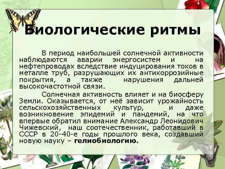 Биологические ритмы В период наибольшей солнечной активности наблюдаются аварии энергосистем и на нефтепроводах вследствие