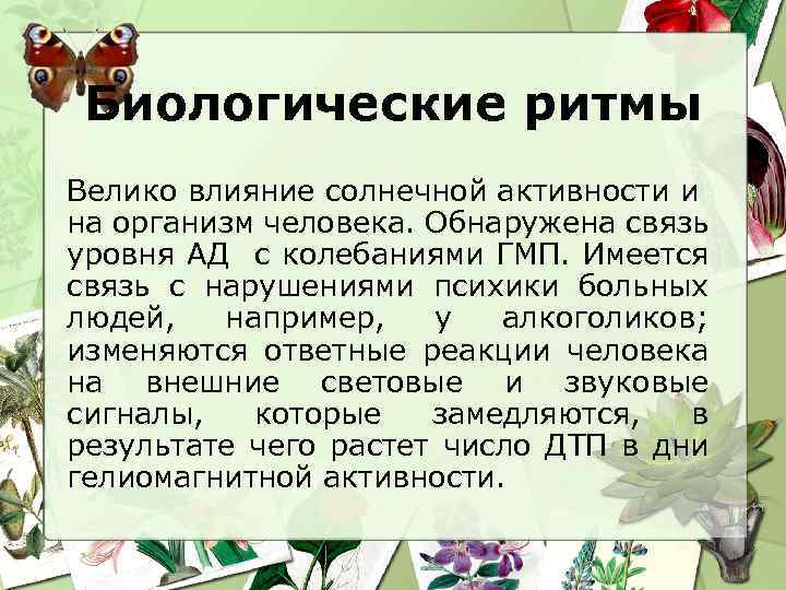 Биологические ритмы Велико влияние солнечной активности и на организм человека. Обнаружена связь уровня АД