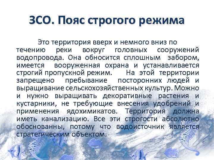 ЗСО. Пояс строгого режима Это территория вверх и немного вниз по течению реки вокруг