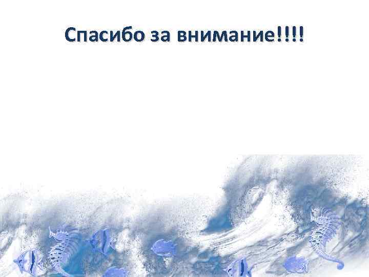 Спасибо за внимание!!!! 