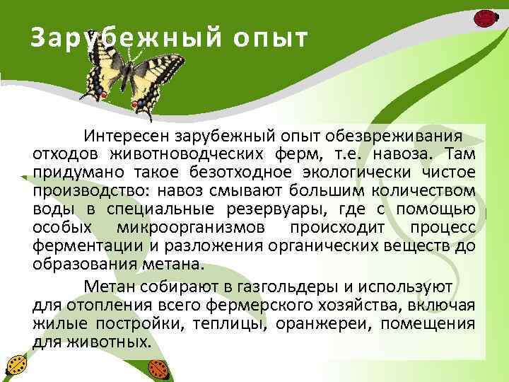 Зарубежный опыт Интересен зарубежный опыт обезвреживания отходов животноводческих ферм, т. е. навоза. Там придумано