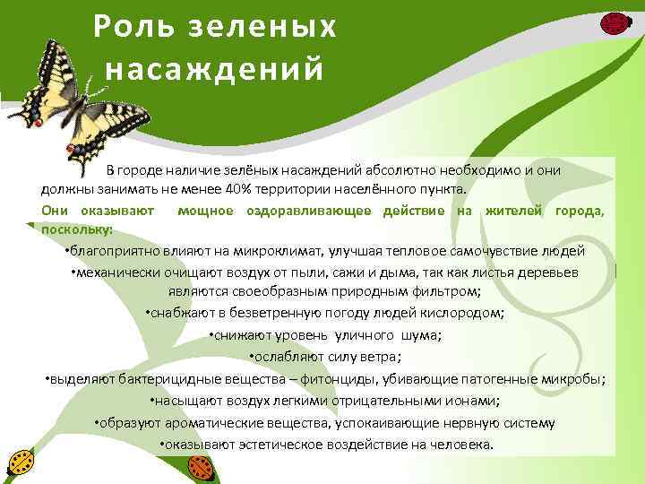 Роль зеленых насаждений В городе наличие зелёных насаждений абсолютно необходимо и они должны занимать