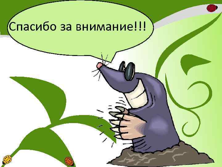 Спасибо за внимание!!! 