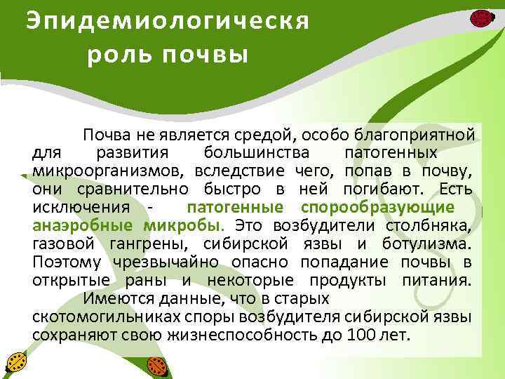 Эпидемиологическя роль почвы Почва не является средой, особо благоприятной для развития большинства патогенных микроорганизмов,