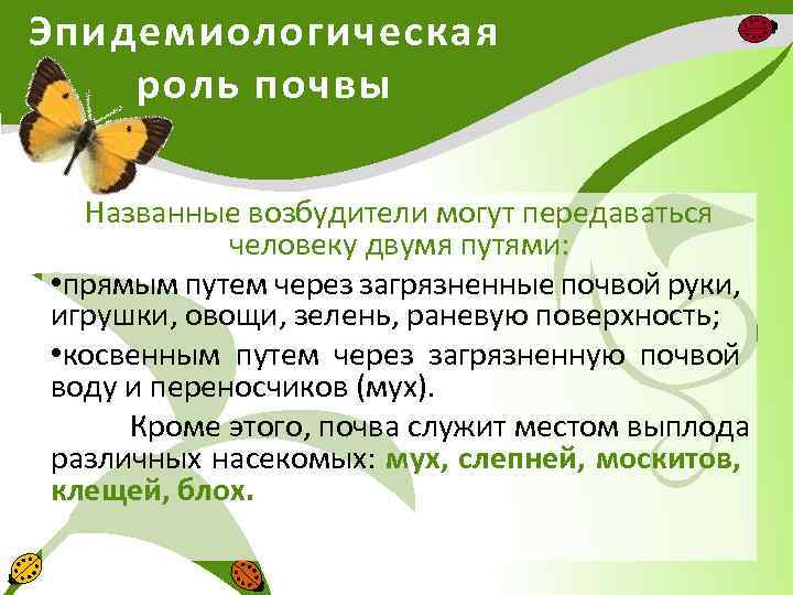 Эпидемиологическая роль почвы Названные возбудители могут передаваться человеку двумя путями: • прямым путем через