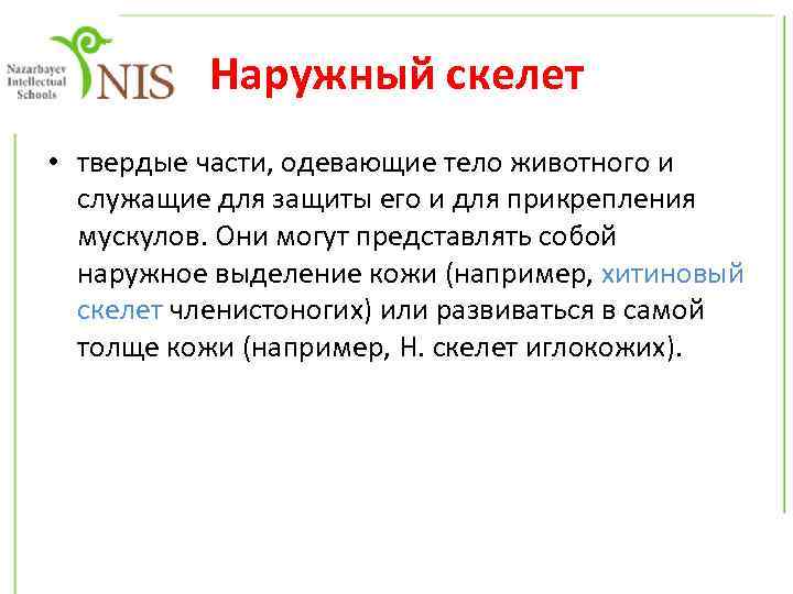 Наружный скелет • твердые части, одевающие тело животного и служащие для защиты его и