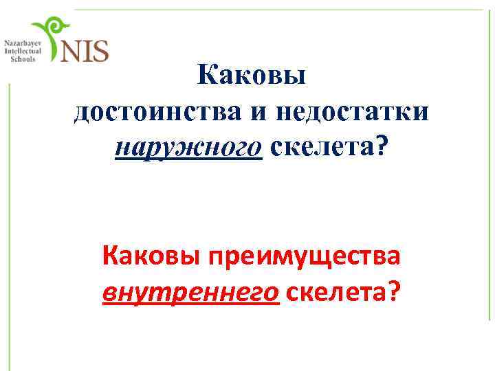 Каковы достоинства и недостатки наружного скелета? Каковы преимущества внутреннего скелета? 