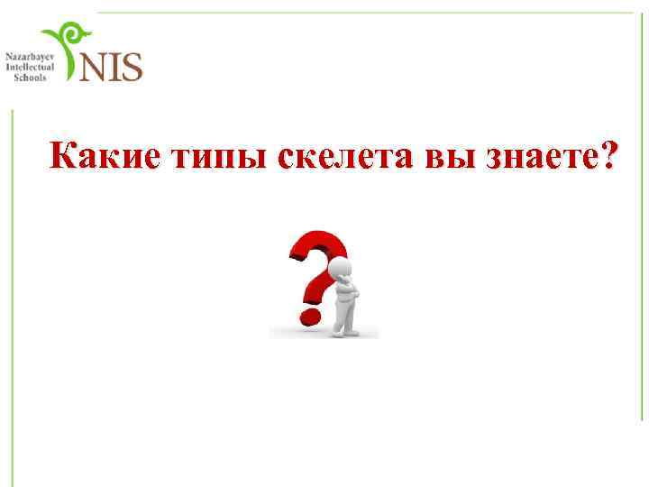 Какие типы скелета вы знаете? 