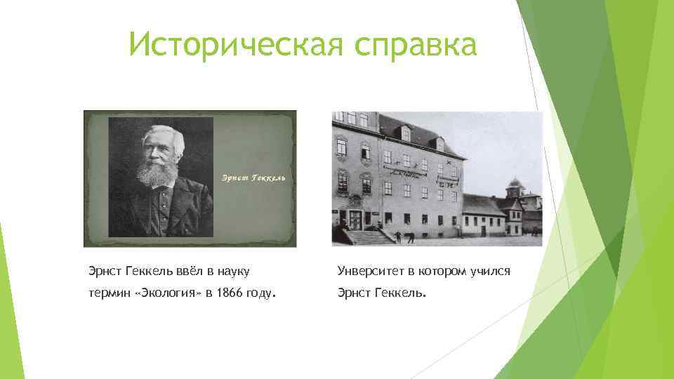 Ввел в науку. Историческая справка с видео проекта по экологии.