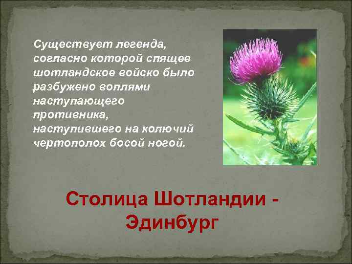 Существует легенда, согласно которой спящее шотландское войско было разбужено воплями наступающего противника, наступившего на