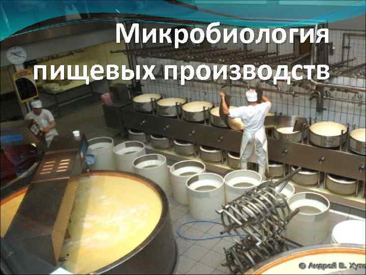 Микробиология пищевых производств 