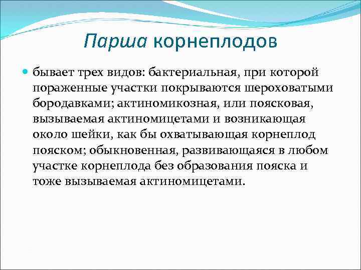 Парша корнеплодов бывает трех видов: бактериальная, при которой пораженные участки покрываются шероховатыми бородавками; актиномикозная,