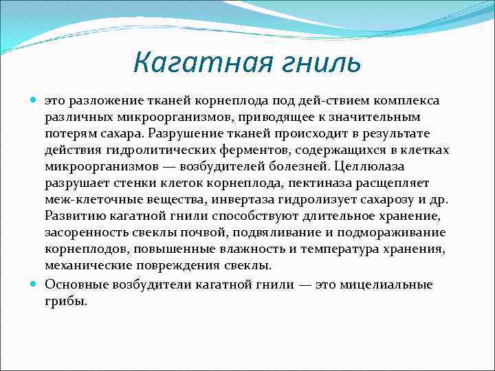 Кагатная гниль это разложение тканей корнеплода под дей ствием комплекса различных микроорганизмов, приводящее к