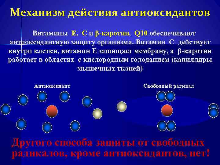 Механизм действия антиоксидантов Витамины Е, С и β-каротин, Q 10 обеспечивают β-каротин антиоксидантную защиту