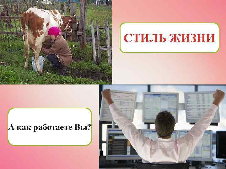 СТИЛЬ ЖИЗНИ А как работаете Вы? 