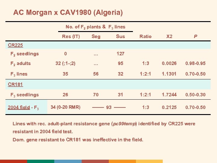 AC Morgan x CAV 1980 (Algeria) No. of F 2 plants & F 3