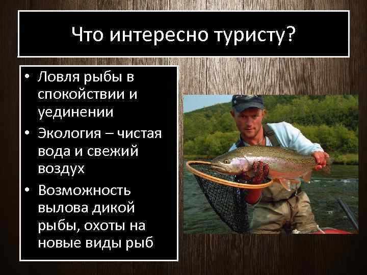 Что интересно туристу? • Ловля рыбы в спокойствии и уединении • Экология – чистая