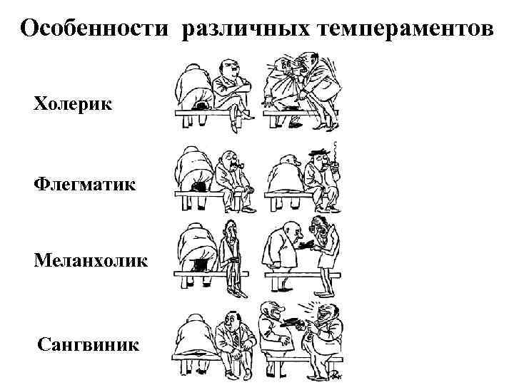 Особенности различных темпераментов Холерик Флегматик Меланхолик Сангвиник 