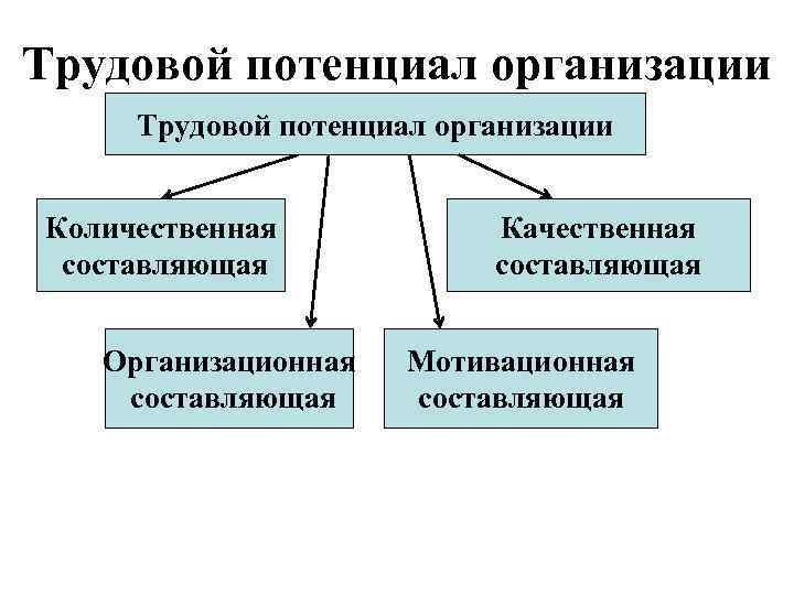 Оценка трудового потенциала организации