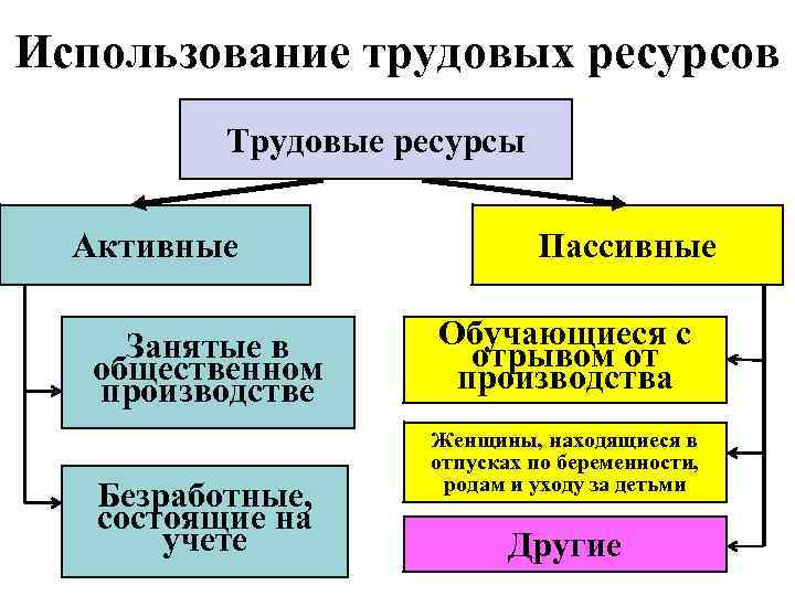 Трудовые ресурсы проекта включают