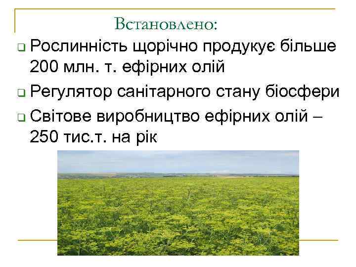 Встановлено: Рослинність щорічно продукує більше 200 млн. т. ефірних олій q Регулятор санітарного стану