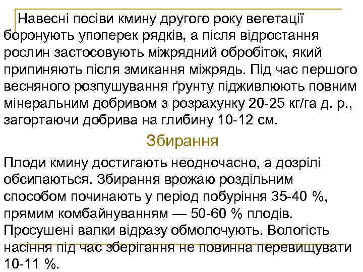 Навесні посіви кмину другого року вегетації боронують упоперек рядків, а після відростання рослин застосовують