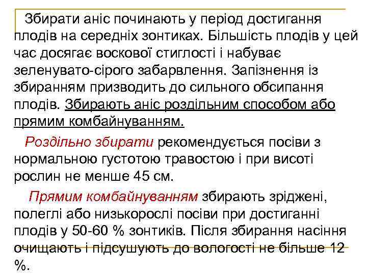 Збирати аніс починають у період достигання плодів на середніх зонтиках. Більшість плодів у цей