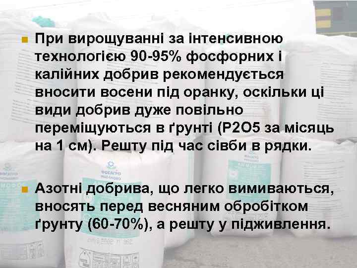 n При вирощуванні за інтенсивною технологією 90 -95% фосфорних і калійних добрив рекомендується вносити