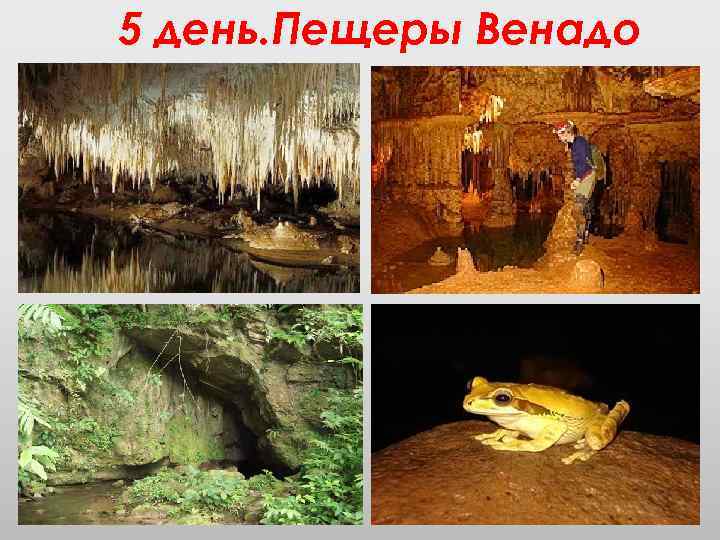 5 день. Пещеры Венадо 