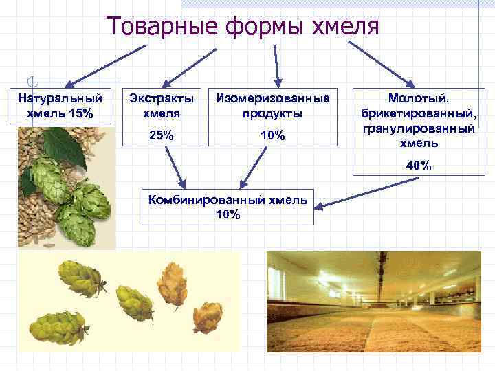 Товарные формы хмеля Натуральный хмель 15% Экстракты хмеля Изомеризованные продукты 25% 10% Молотый, брикетированный,