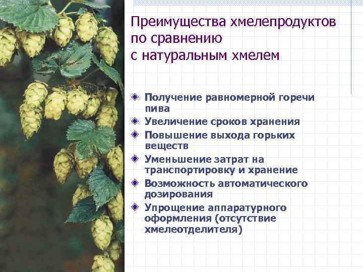 Преимущества хмелепродуктов по сравнению с натуральным хмелем Получение равномерной горечи пива Увеличение сроков хранения