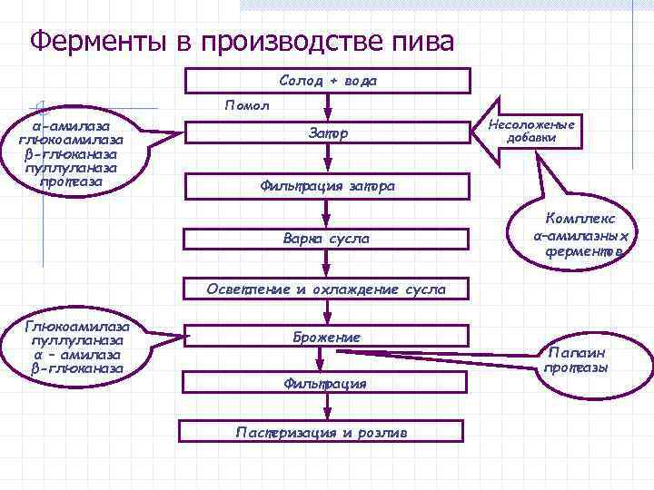 Ферменты в производстве пива Солод + вода Помол α-амилаза глюкоамилаза β-глюканаза пуллуланаза протеаза Затор