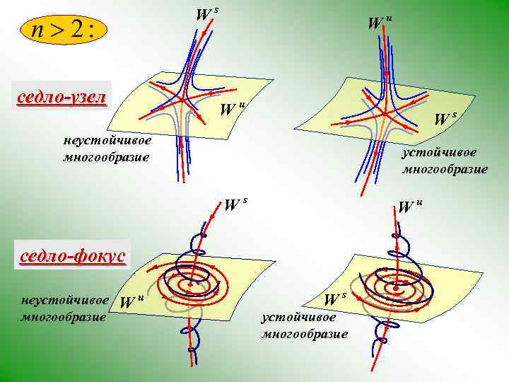 Ws седло-узел Wu Wu Ws неустойчивое многообразие Ws Wu седло-фокус неустойчивое многообразие Wu Ws