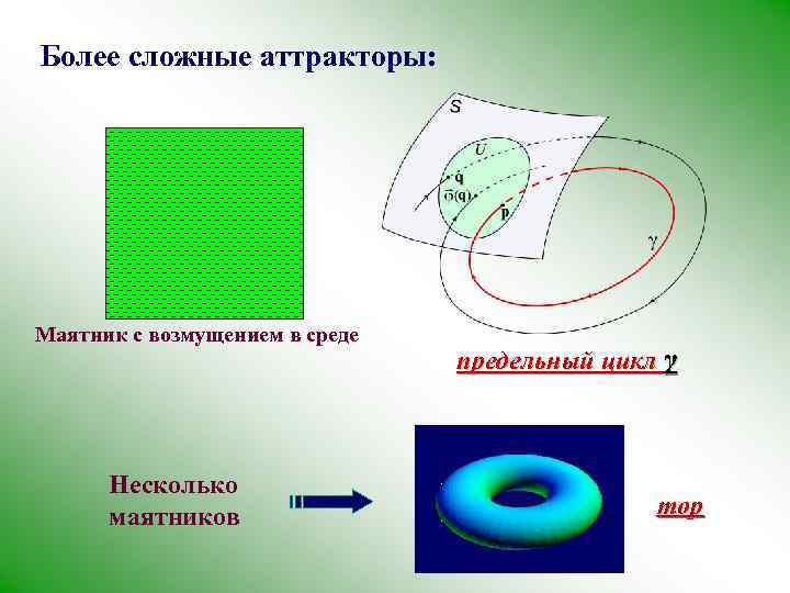 Более сложные аттракторы: Маятник с возмущением в среде Несколько маятников предельный цикл γ тор