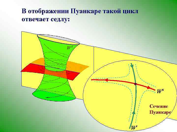 В отображении Пуанкаре такой цикл отвечает седлу: Wu Сечение Пуанкаре Ws 
