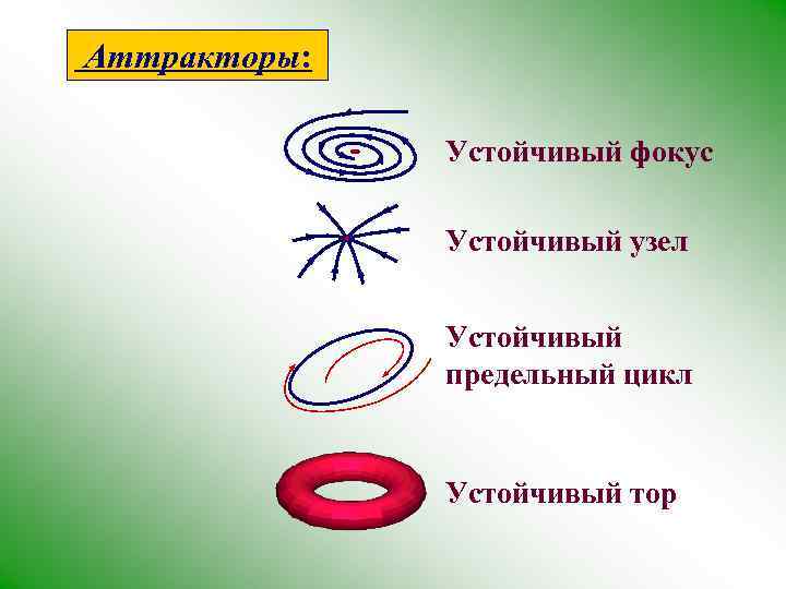 Аттракторы: Устойчивый фокус Устойчивый узел Устойчивый предельный цикл Устойчивый тор 