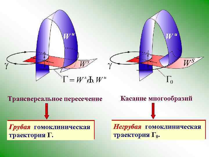 Wu Wu Ψ Трансверсальное пересечение Грубая гомоклиническая траектория Γ. Касание многообразий Негрубая гомоклиническая траектория