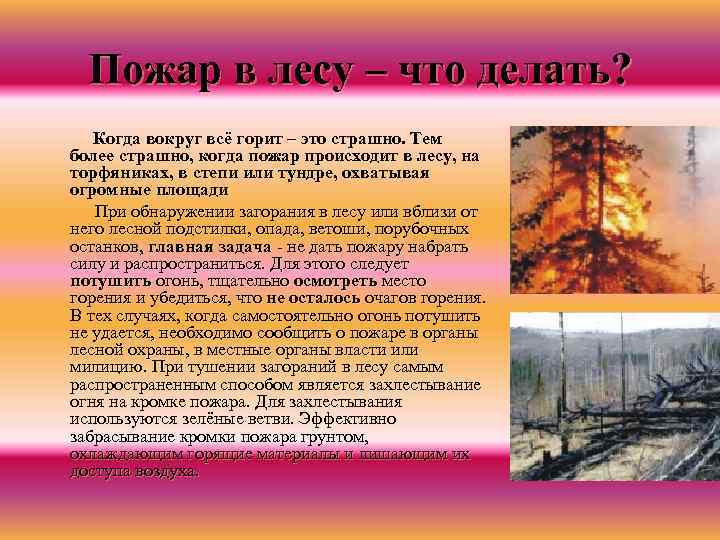 Пожар в лесу – что делать? Когда вокруг всё горит – это страшно. Тем