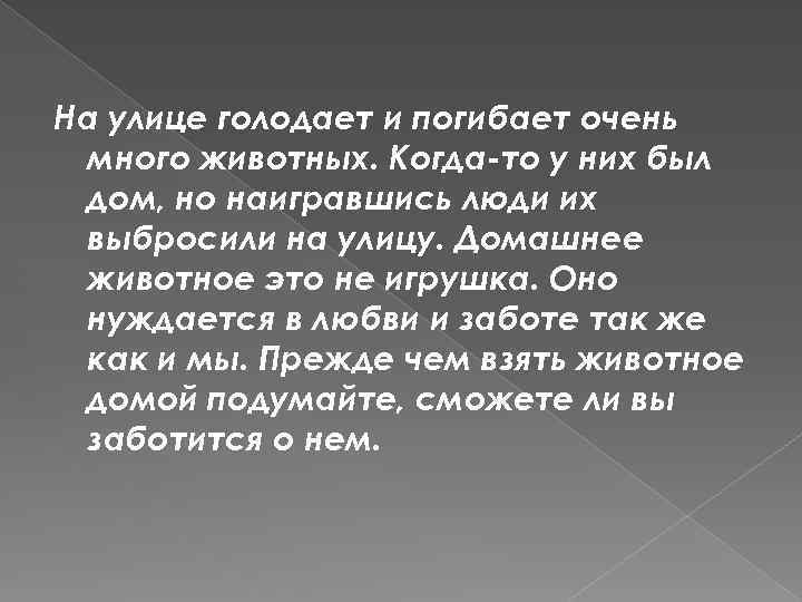 На улице голодает и погибает очень много животных. Когда-то у них был дом, но