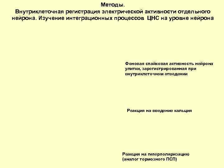 Методы. Внутриклеточная регистрация электрической активности отдельного нейрона. Изучение интеграционных процессов ЦНС на уровне нейрона