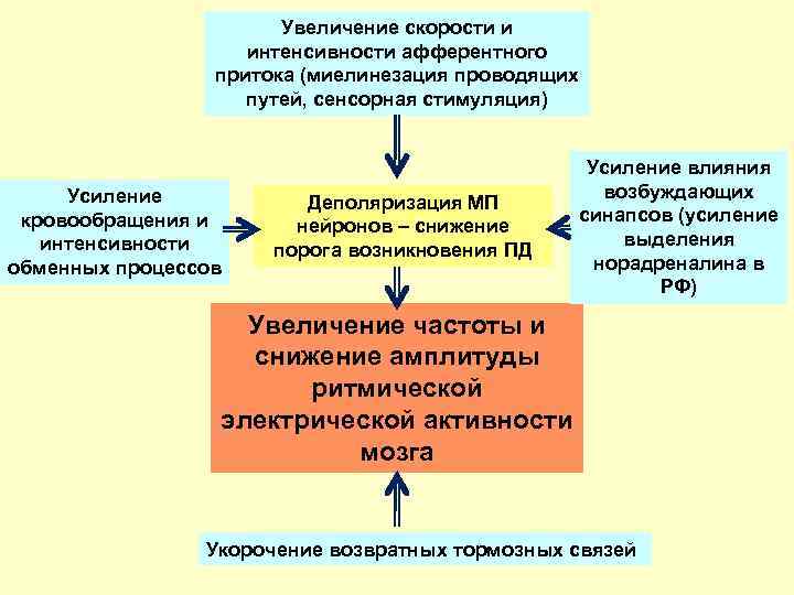 Увеличение скорости и интенсивности афферентного притока (миелинезация проводящих путей, сенсорная стимуляция) Усиление кровообращения и