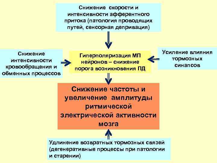 Снижение скорости и интенсивности афферентного притока (патология проводящих путей, сенсорная депривация) Снижение интенсивности кровообращения