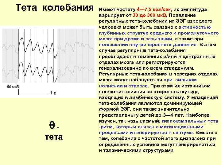 Тета колебания θ - тета Имеют частоту 4— 7, 5 кол/сек, их амплитуда варьирует