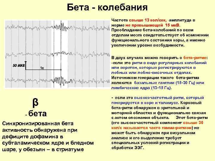 Бета - колебания Частота свыше 13 кол/сек, амплитуда в норме не превышающей 15 мк.