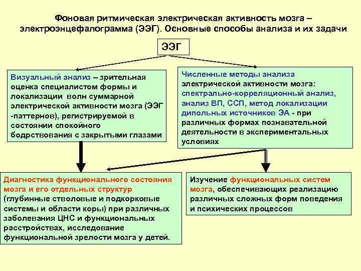 Фоновая ритмическая электрическая активность мозга – электроэнцефалограмма (ЭЭГ). Основные способы анализа и их задачи